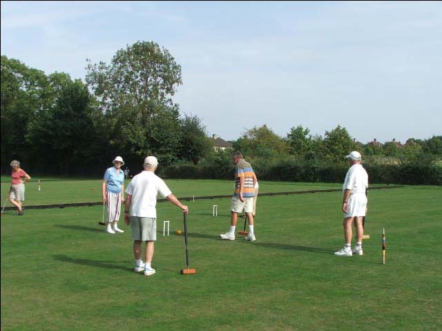 Playing croquet